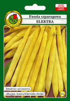 Yellow dwarf asparagus bean ELEKTRA 50g (Phaseolus vulgaris)