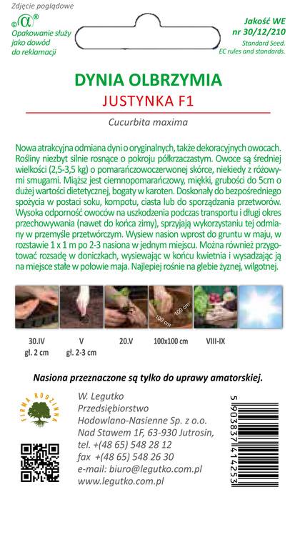 Giant pumpkin JUSTYNKA F1 4g (Cucurbita maxima)