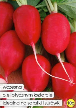 Radish LUCYNKA 10g (Raphanus sativus var. sativus)