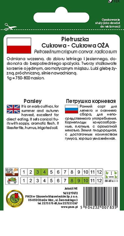 Pietruszka korzeniowa CUKROWA-CUKROWA OŻA 5g (Petroselinum crispum convar. radicosum)