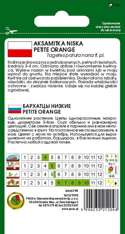 Petite Orange Marigold, full of velvet, low-growing, 1g (Tagetes patula nana fl. pl.)