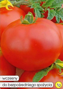 Pomidor gruntowy SZACH 1g (Solanum lycopersicum L.)