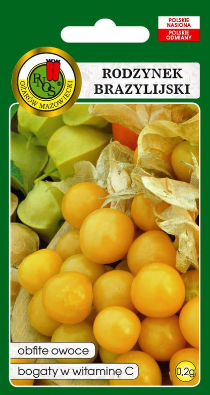 Miechunka jadalna Rodzynek brazylijski 0,2g (Physalis edulis)