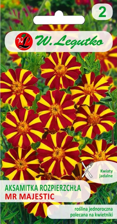 The Dwarf French Marigold MR. MAJESTIC dispersed 0.3g (Tagetes patula nana).