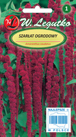 Szarłat ogrodowy zwisły czerwony 1g (Amaranthus caudatus)