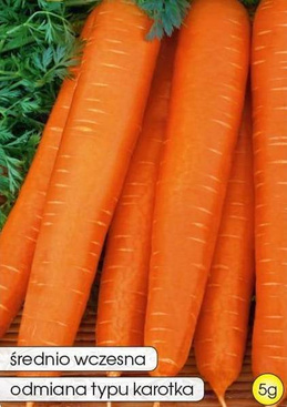 Edible carrot JAGNA 5g (Daucus carota)