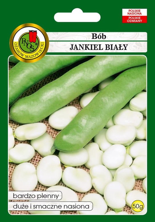 Garden bean JANKIEL BIAŁY 50g (Vicia faba)