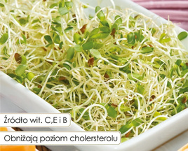 Nasiona na kiełki LEN 10g