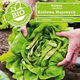 Butterhead lettuce MAY KING 0.5g BIO (Lactuca sativa)