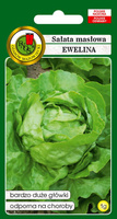 Sałata głowiasta masłowa EWELINA 1g (Lactuca sativa var.capitata)