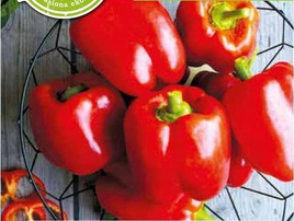 Papryka słodka ROBERTINA BIO 0,3g (Capsicum annuum)