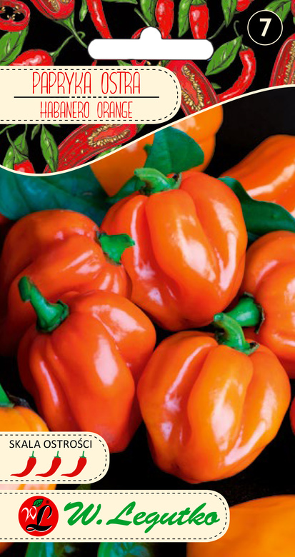 Papryka chińska HABANERO ORANGE pomarańczowa 0,15g (Capsicum chinense)