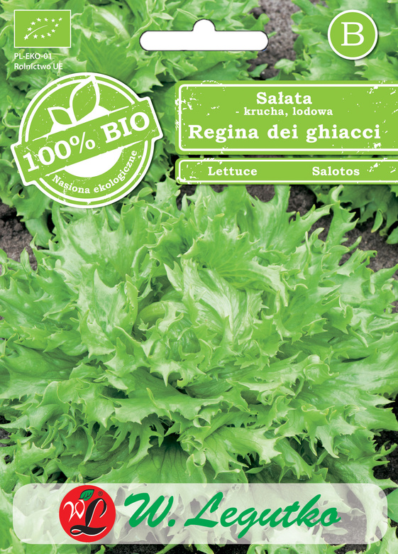 Sałata głowiasta krucha lodowa REGINA DEI GHIACCI 0,5g BIO (Lactuca sativa)