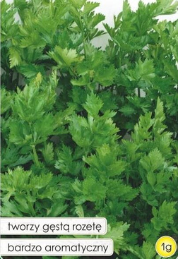 Seler naciowy JEMNY 1g (Apium graveolens var. dulce)