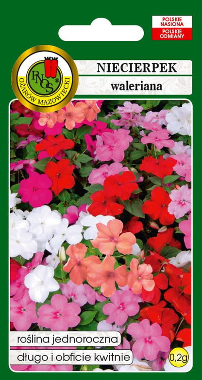 Niecierpek waleriana mix 0,2g (Impatiens walleriana)