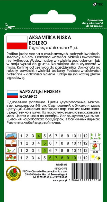 Low-growing BOLERO marigold with honey-mahogany velvet-like flowers, 1g (Tagetes patula nana fl. pl.)