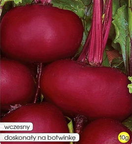 Burak ćwikłowy DEGYPTE 10g (Beta vulgaris)