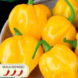 Chinese Habanero Lemon Yellow Pepper 0.15g (Capsicum chinense)