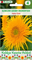 Decorative sunflower ASTRA GOLD orange 1g (Polish Flowers) (Helianthus annuus)