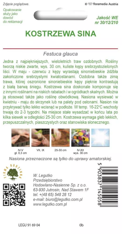 Kostrzewa sina srebrnoniebieska 0,2g (Festuca glauca)