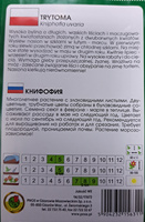 Trytoma 0,5g (Kniphofia uvaria)