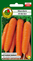 Edible carrot SUCCESS 5g (Daucus carota)