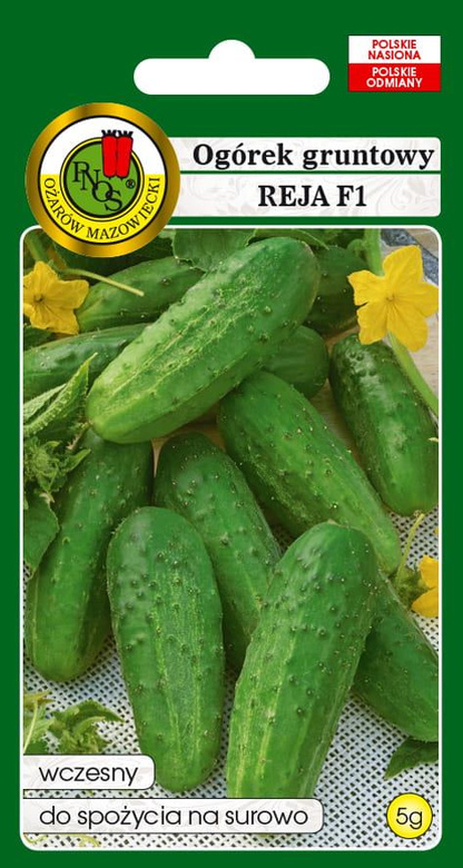 Ogórek gruntowy REJA F1 5g (Cucumis sativus)