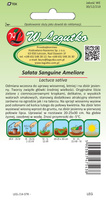 Sałata głowiasta masłowa SANGUINE AMELIOREE 1g (Lactuca sativa)
