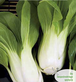 Chinese cabbage PAK CHOI 1g (Brassica rapa ssp. chinensis)