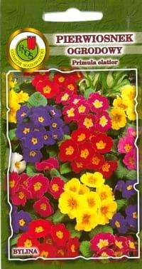 Garden primrose mix 0.1g (Primula elatior)