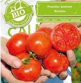 Pomidor karłowy BETALUX BIO 0,2g (Solanum lycopersicum L.)