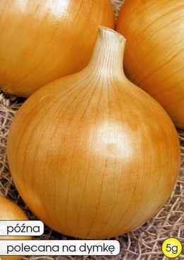 SOCHACZEWSKA Onion 5g (Allium cepa)