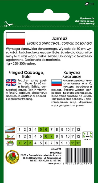 Jarmuż średniowysoki HALBHOHER GRUNER KRAUSER 5g (Brassica oleracea L. convar. acephala)