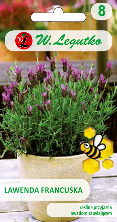 French dark purple lavender 0.03g (Lavandula stoechas)