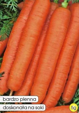 Edible carrot ARLETA 5g (Daucus carota)