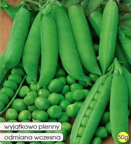 Groch łuskowy CUD KELVEDONU 50g (Pisum sativum)