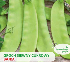 Sugar Snap Pea BAJKA 40g (Pisum sativum)