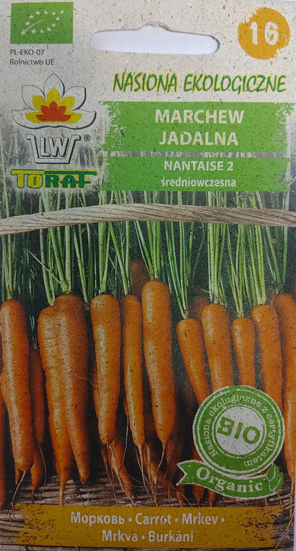 Marchew jadalna NANTAISE 2 BIO (Daucus carota L.)