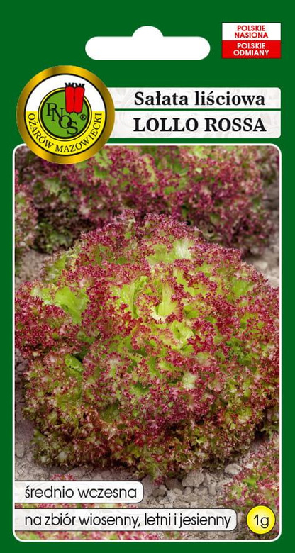 Sałata liściowa LOLLO ROSSA 1g (Lactuca sativa var. crispa)