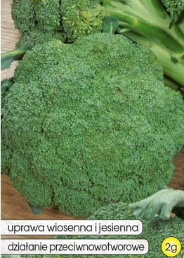Broccoli SEBASTIAN 2g (Brassica oleracea var. botrytis italica)