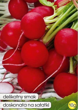Radish SAXA POLANA 10g (Raphanus sativus var. sativus)