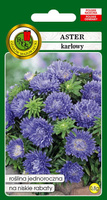 Dwarf Blue Aster 0.8g (Callistephus chinensis fl. pl.)