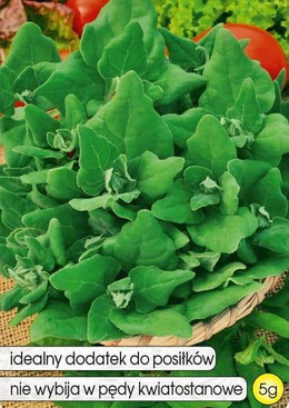 New Zealand Spinach 5g (Tetragonia expansa)