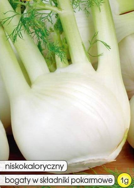 Fennel Italian ROMANESCO 1g (Foeniculum vulgar Mill.)