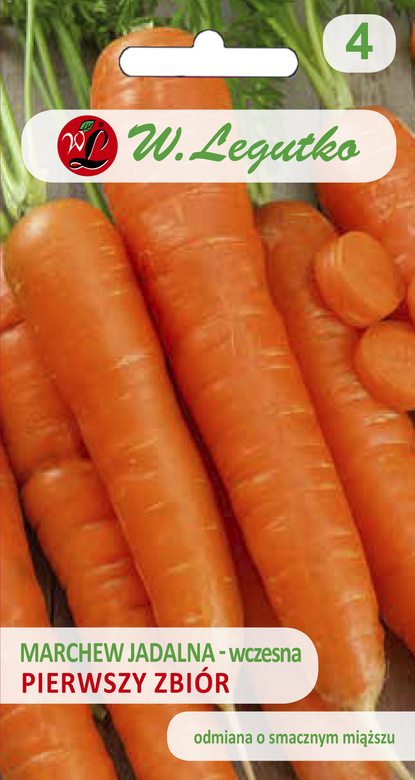 Edible carrot FIRST HARVEST 5g (Daucus carota)