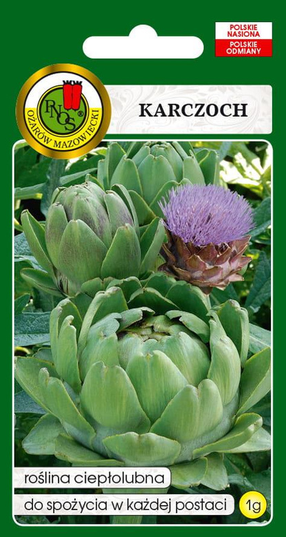 Common Artichoke VERT DE PROVENCE 1g (Cynara scolymus)