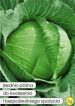 White cabbage BRUNSWICK 2g (Brassica oleracea var. capitata alba)