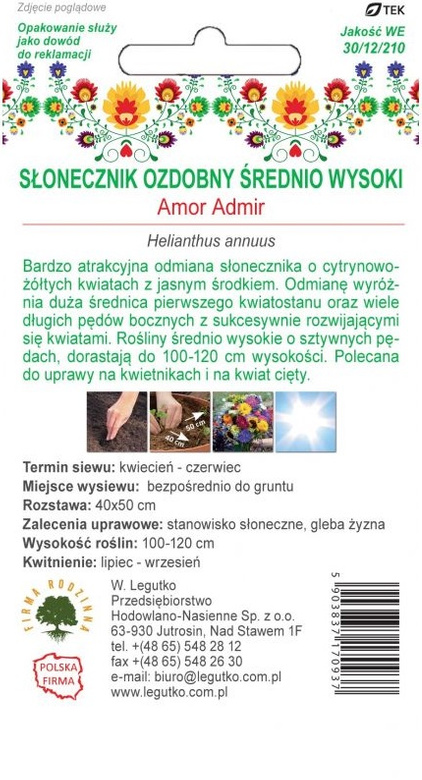 Słonecznik ozdobny AMOR ADMIR żółty 2g (Kwiaty Polskie) (Helianthus annuus)