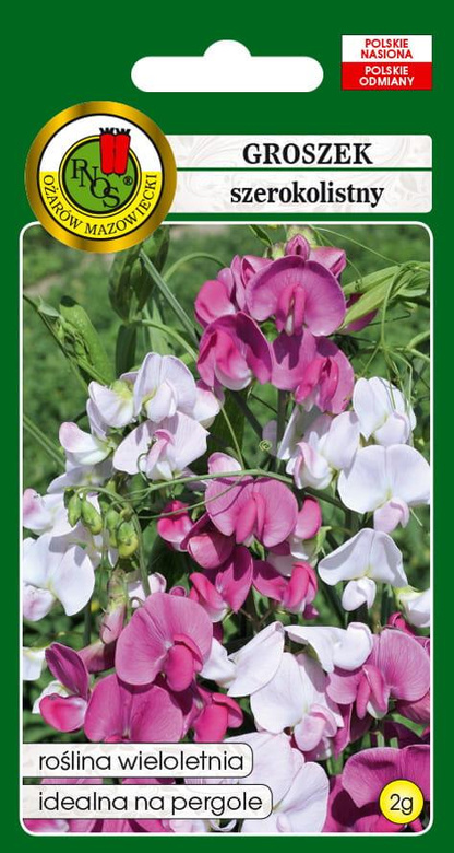 Broad-leaved everlasting pea mix 2g (Lathyrus latifolius)