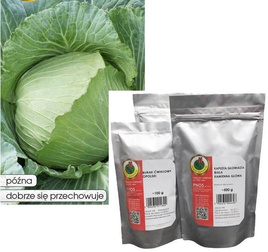 White cabbage LANGEDIJKER BEWAAR 50g (Brassica oleracea var. capitata alba)